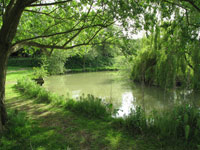 The fishing pond at The Old Oaks